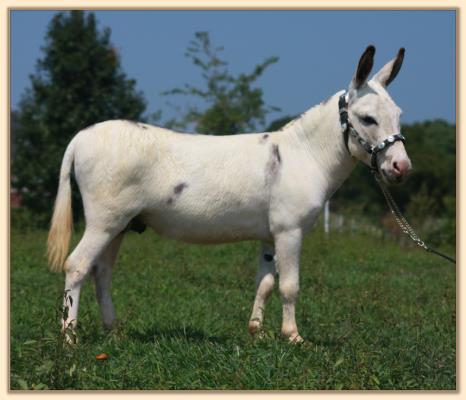 Ass-Pirin Acres Spectacular ~ August 27th, 2010